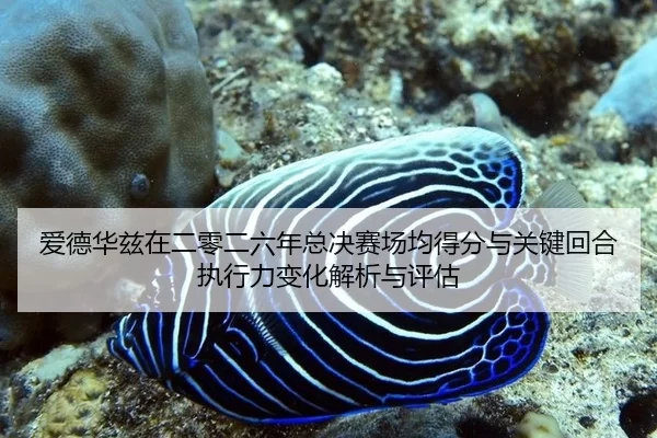 爱德华兹在二零二六年总决赛场均得分与关键回合执行力变化解析与评估